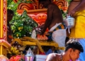 சிறப்புற்ற செல்வச்சந்நிதி முருகன் ஆலயத் தீர்த்தத் திருவிழா: குவிந்த அடியவர்கள்